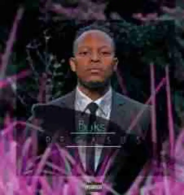 Buks - Overachiever (feat. Mashayabhuqe KaMamba)